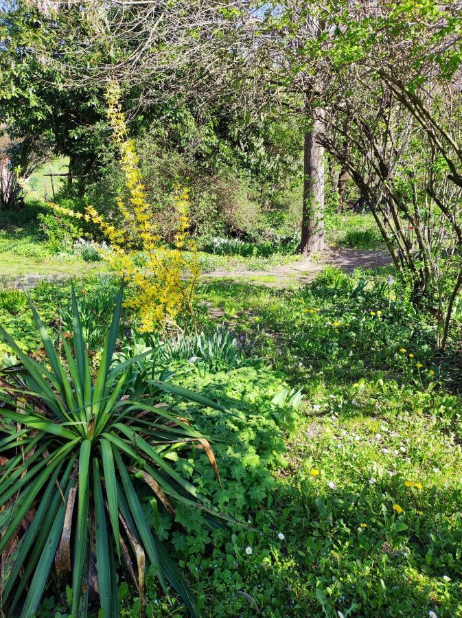 Il Giardino Del Gallo Cherasco Kültér fotó