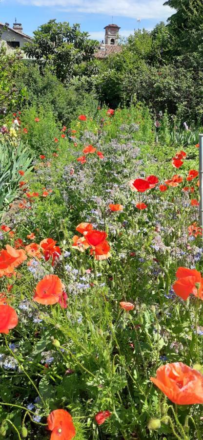Il Giardino Del Gallo Cherasco Kültér fotó