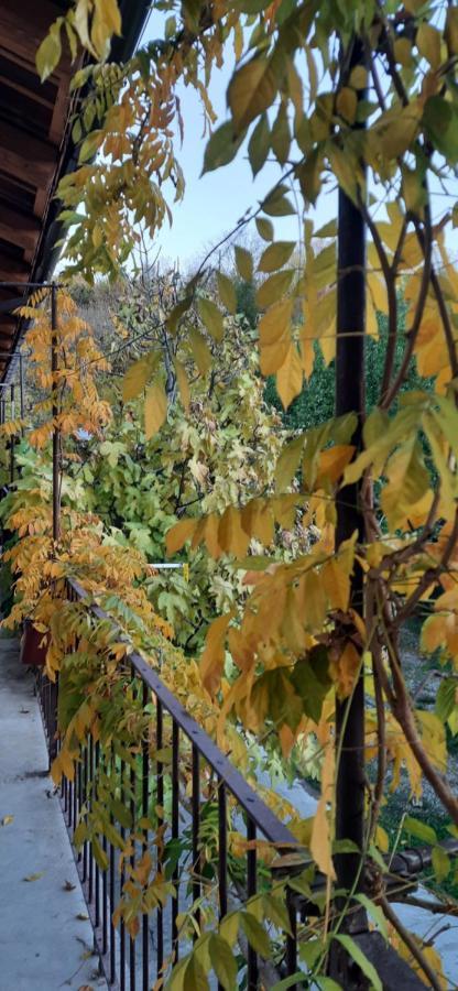 Il Giardino Del Gallo Cherasco Kültér fotó