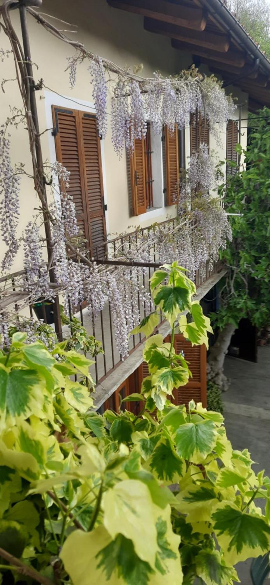 Il Giardino Del Gallo Cherasco Kültér fotó