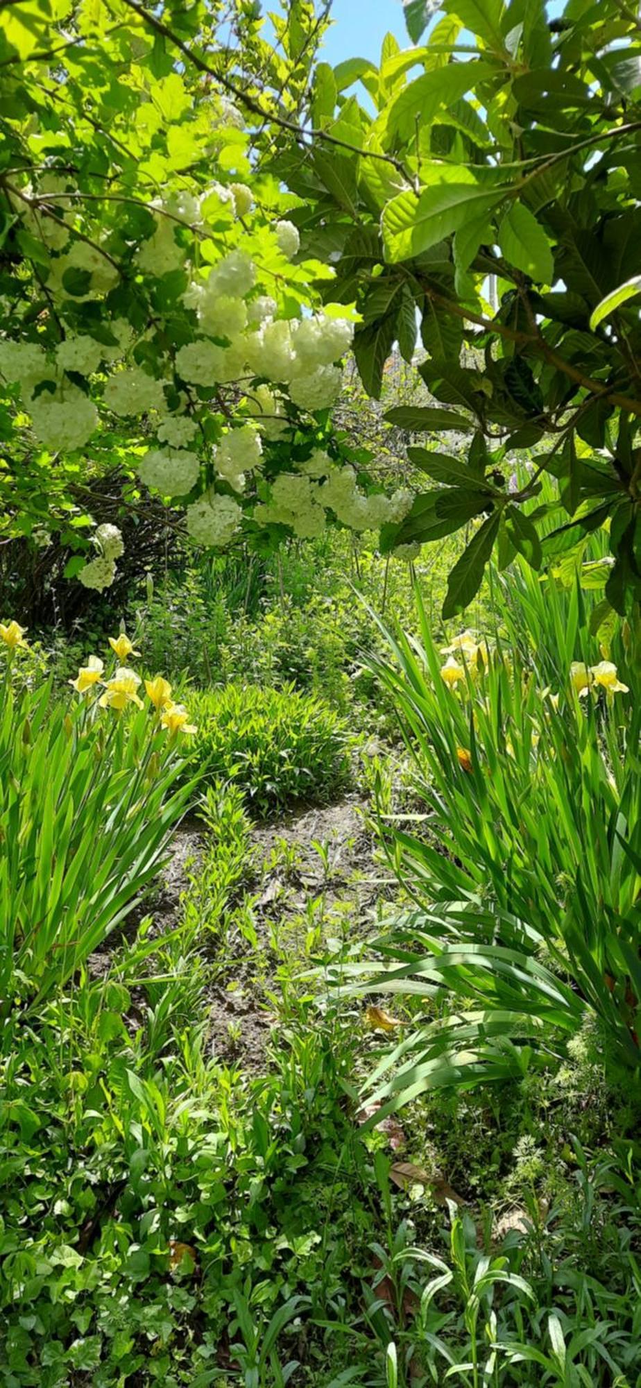 Il Giardino Del Gallo Cherasco Kültér fotó
