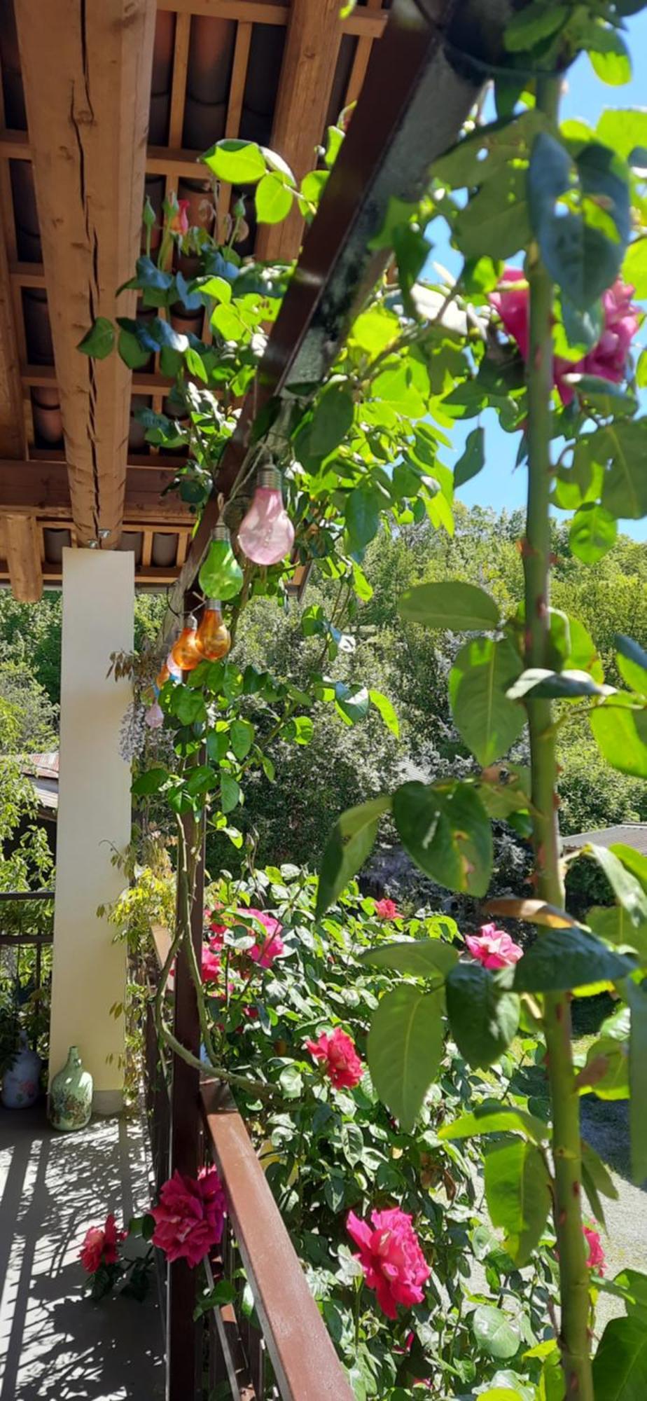 Il Giardino Del Gallo Cherasco Kültér fotó