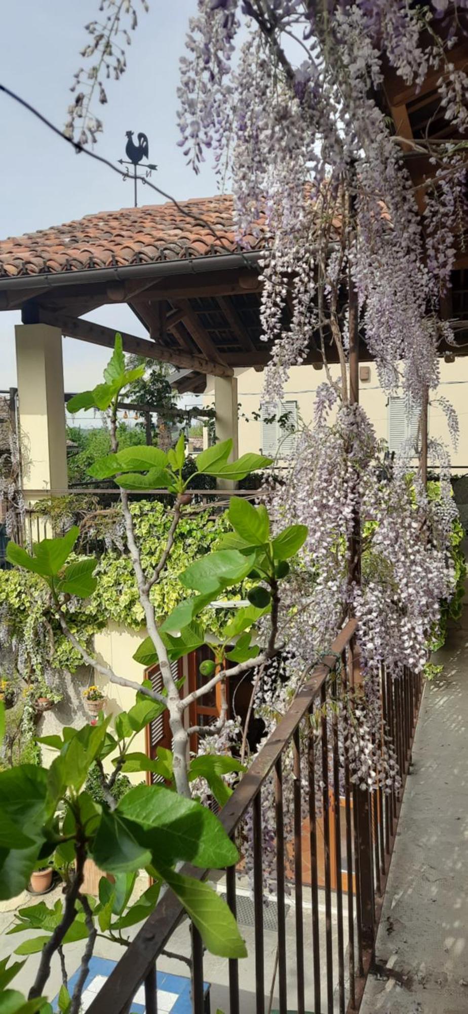 Il Giardino Del Gallo Cherasco Kültér fotó
