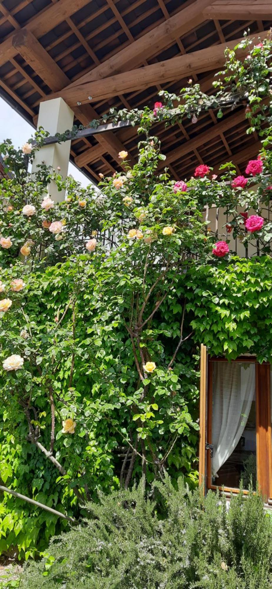 Il Giardino Del Gallo Cherasco Kültér fotó