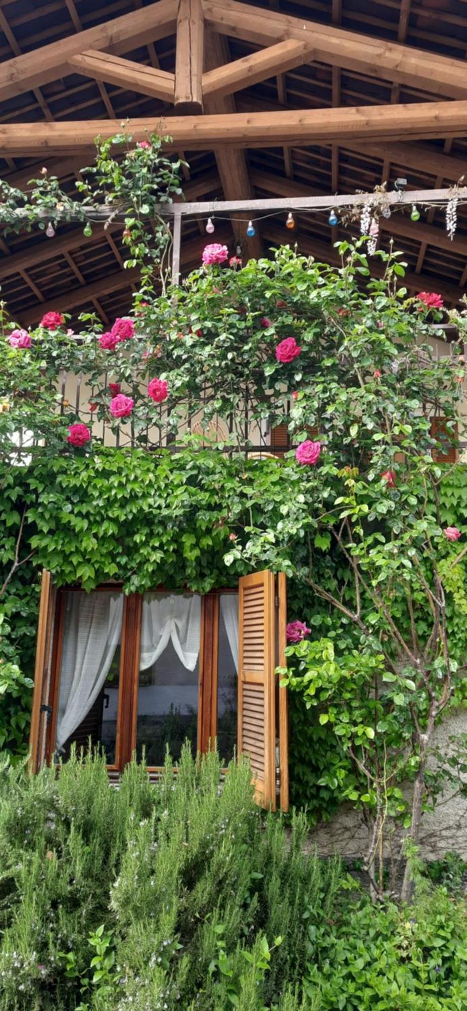 Il Giardino Del Gallo Cherasco Kültér fotó