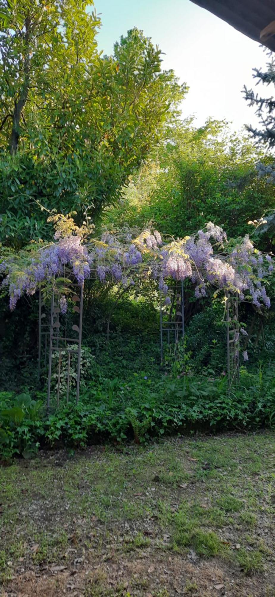 Il Giardino Del Gallo Cherasco Kültér fotó